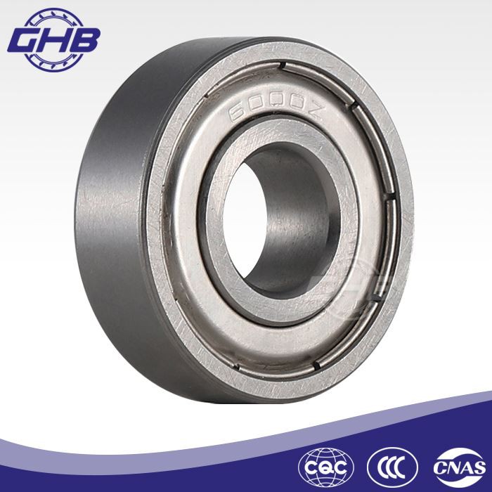 6007 ZZ Bearing